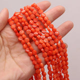 Mix-Color Natural Coral Beads for Jewelry Making DIY