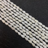Freshwater Shell Beads Love Stars Cylindrical Mother Shell