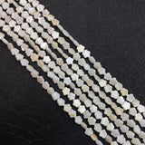 Freshwater Shell Beads Love Stars Cylindrical Mother Shell