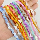 Multicolor Shell Bead Moon Shape Freshwater Shells Spacer Beads