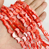 Multicolor Shell Bead Moon Shape Freshwater Shells Spacer Beads