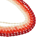 Natural Red Coral Rice Beads DIY Jewelry Semi-finished Loose Beads 4x8mm