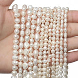 Natural Freshwater Pearl Loose Beads for Jewelry Making DIY
