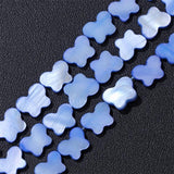 Natural Butterfly Dyed Shell Beads Muticolor Mother of Pearl Bead 8x11mm