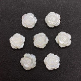 5pcs Natural Freshwater Shell Beads 8-12mm DIY Necklace Bracelet