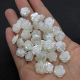 5pcs Natural Freshwater Shell Beads 8-12mm DIY Necklace Bracelet