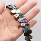 Abalone Shell Beads for Jewelry Making