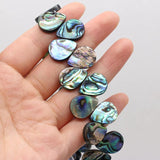 Abalone Shell Beads for Jewelry Making