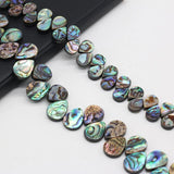 Abalone Shell Beads for Jewelry Making