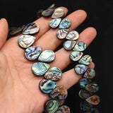 Abalone Shell Beads for Jewelry Making