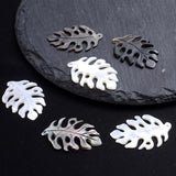 Natural Shell Bead Pendant Saucer Leaf Shape Shell Charm For Jewelry DIY