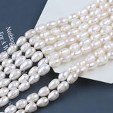 Freshwater Pearl Rice Shape Bead Semi-finished DIY Jewelry 7-8mm