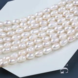 Freshwater Pearl Rice Shape Bead Semi-finished DIY Jewelry 7-8mm