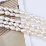 Freshwater Pearl Rice Shape Bead Semi-finished DIY Jewelry 7-8mm