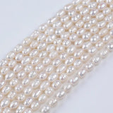 7-8mm Flawed Rice Pearl Freshwater Bead Semi-finished DIY Jew