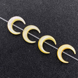 5pcs Natural Pearl Shell Beads Moon Loose Beads Fashionable Jewelry Making DIY