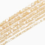 2 3 4mm Natural Faceted Stone Beads Shell Beads for Jewelry Making