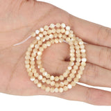 2 3 4mm Natural Faceted Stone Beads Shell Beads for Jewelry Making