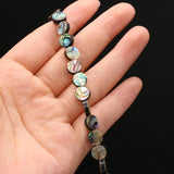 Abalone & Mother Of Pearl Round Beads for Jewelry Making DIY