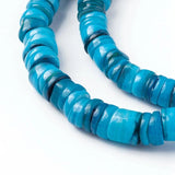 Dyed Shell Beads For DIY Necklace Bracelet 4.9~6x1~6mm