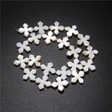 Mother Of Pearl Shell Beads Loose Snowflake Shape Freshwater Shell Charms