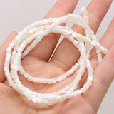 Natural Shell Loose Beads Small Cylindrical Shape Jewelry Making DIY
