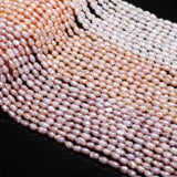 Rice Shape Pearl Natural Freshwater Pearl Beads Mixed for Jewelry DIY 4-5mm