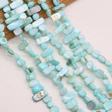 Natural Shell Irregular Beads for Jewelry Making 8x15-10x20 mm 80 cm