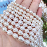 Natural Freshwater Pearl Beads High Oval Shape Punch Loose Beads