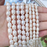 Natural Freshwater Pearl Beads High Oval Shape Punch Loose Beads