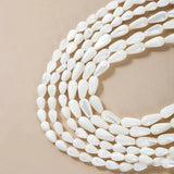 Natural Shell Stone Smooth Drop Shape Beads Strand