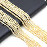 Natural Freshwater Shell Faceted Beaded Round Loose Isolation Beads