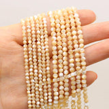 Natural Freshwater Shell Faceted Beaded Round Loose Isolation Beads