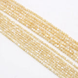 Natural Freshwater Shell Faceted Beaded Round Loose Isolation Beads