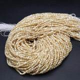 Natural Freshwater Shell Faceted Beaded Round Loose Isolation Beads
