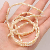 Natural Shell Beads for DIY Jewelry Making