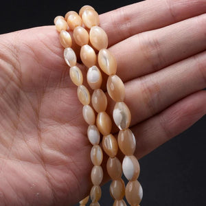 Natural Freshwater Shell Beads Oval Shape for Jewelry Making