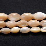 Natural Freshwater Shell Beads Oval Shape for Jewelry Making