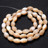 Natural Freshwater Shell Beads Oval Shape for Jewelry Making