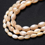 Natural Freshwater Shell Beads Oval Shape for Jewelry Making