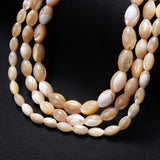 Natural Freshwater Shell Beads Oval Shape for Jewelry Making