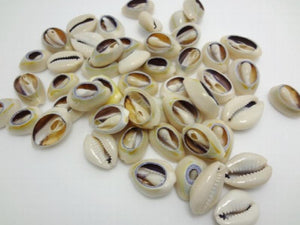 25pcs Natural Mother of Pearl Shell Teeth Beads 20-10mm