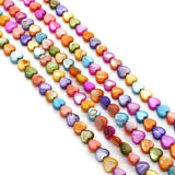 Shell Love Pearl Star Round DIY Jewelry Kit