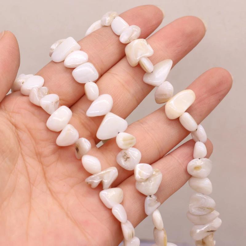 8x15-10x20mm Freeform Shell Beaded Natural Stone Multicolor Shells Loose Beads