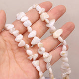 8x15-10x20mm Freeform Shell Beaded Natural Stone Multicolor Shells Loose Beads