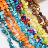 8x15-10x20mm Freeform Shell Beaded Natural Stone Multicolor Shells Loose Beads