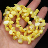 8x15-10x20mm Freeform Shell Beaded Natural Stone Multicolor Shells Loose Beads