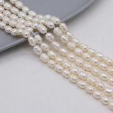 Freshwater Pearl Beads Rice Spaced Loose for Jewelry Making DIY