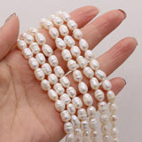 Freshwater Pearl Beads Rice Spaced Loose for Jewelry Making DIY