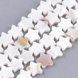 Shell Bead Round Star Heart Loose Beads for Bracelet Jewelry Making